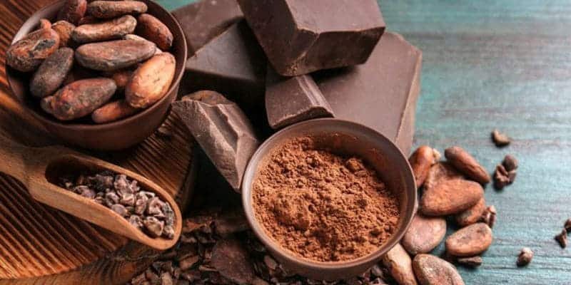 Bột cacao mang lại nhiều lợi ích sức khỏe