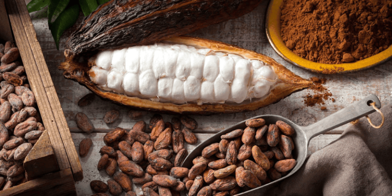 Bột cacao Đắk Lắk nguyên chất - Nông sản chất lượng cao