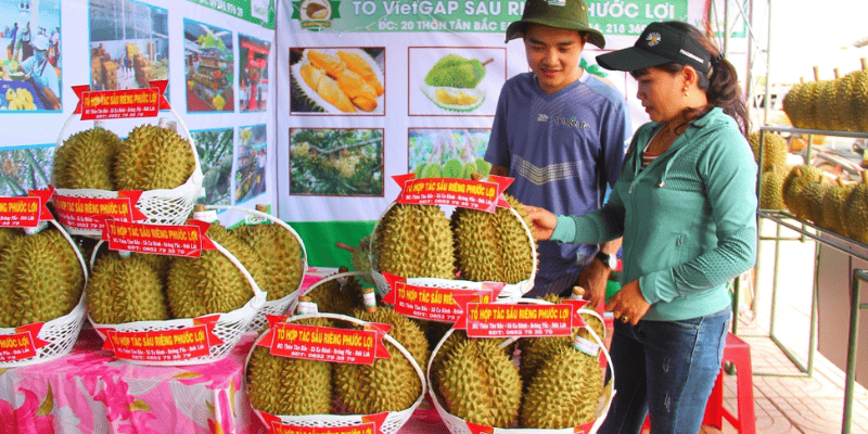 Quy tụ nhiều sản phẩm đặc trưng vùng miền tại hội chợ triển lãm